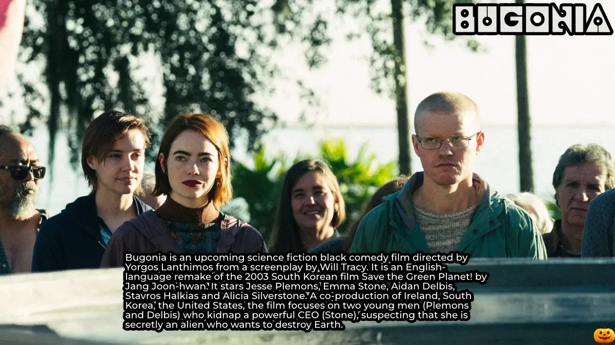 Movie Box 31